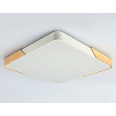 Накладной светильник Ambrella Light FZ1313