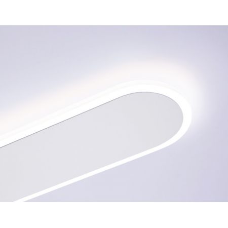 Накладной светильник Ambrella Light FL51445