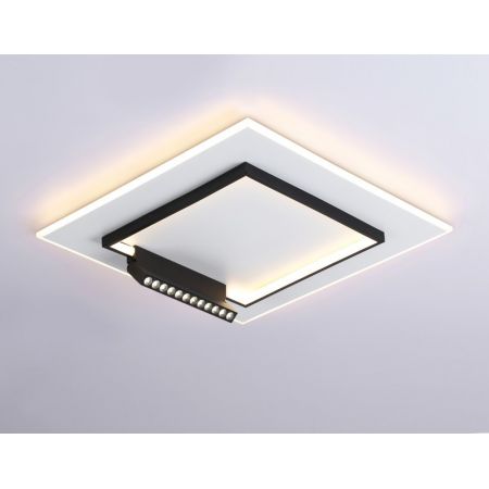 Накладной светильник Ambrella Light FL51455