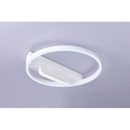 Накладной светильник Ambrella Light FL51457