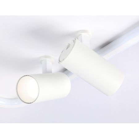 Накладной светильник Ambrella Light FL5114