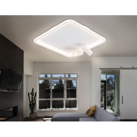 Накладной светильник Ambrella Light FL5114