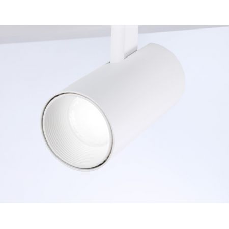 Накладной светильник Ambrella Light FL66201