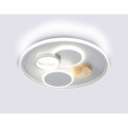 Накладной светильник Ambrella Light FL4803
