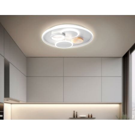 Накладной светильник Ambrella Light FL4803