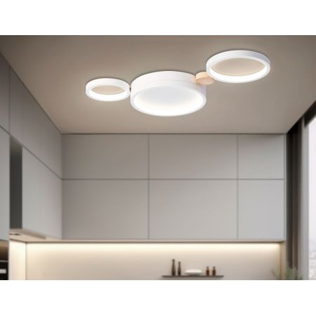 Накладной светильник Ambrella Light FL4812