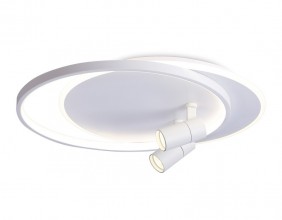 Накладной светильник Ambrella Light FL51391