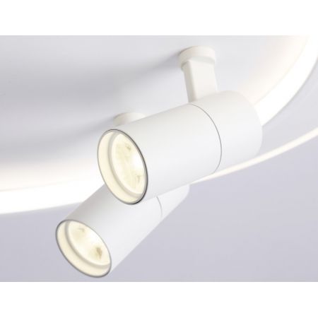 Накладной светильник Ambrella Light FL51391