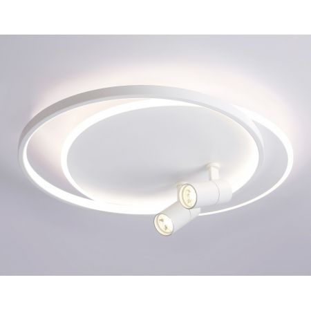 Накладной светильник Ambrella Light FL51391