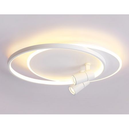 Накладной светильник Ambrella Light FL51391