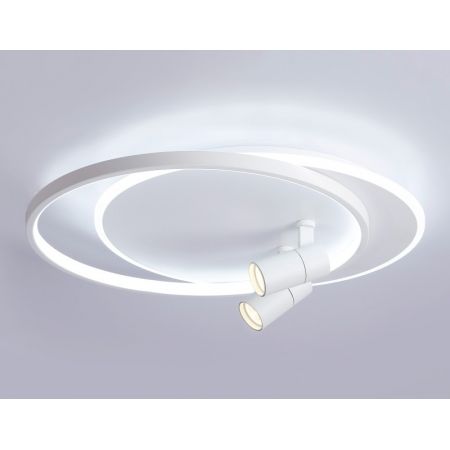 Накладной светильник Ambrella Light FL51391
