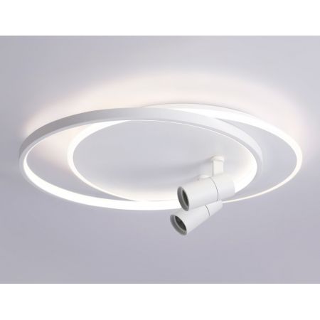 Накладной светильник Ambrella Light FL51391
