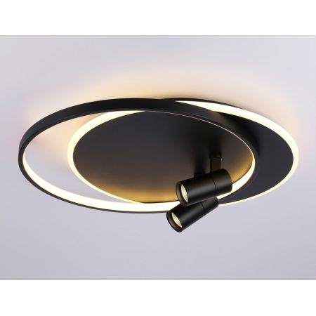 Накладной светильник Ambrella Light FL51393