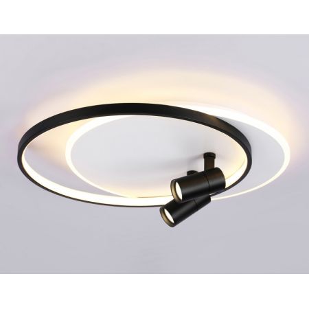 Накладной светильник Ambrella Light FL51392