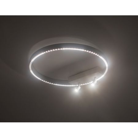 Накладной светильник Ambrella Light FL5807