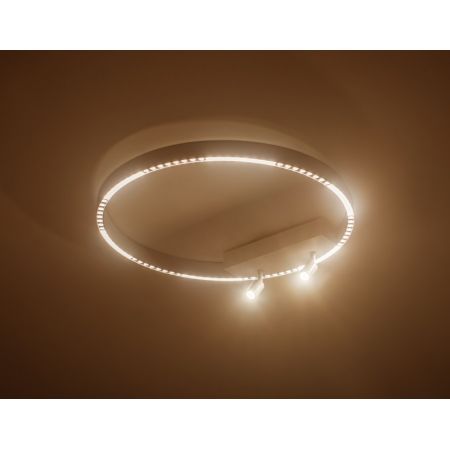 Накладной светильник Ambrella Light FL5807