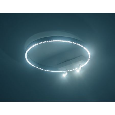 Накладной светильник Ambrella Light FL5807