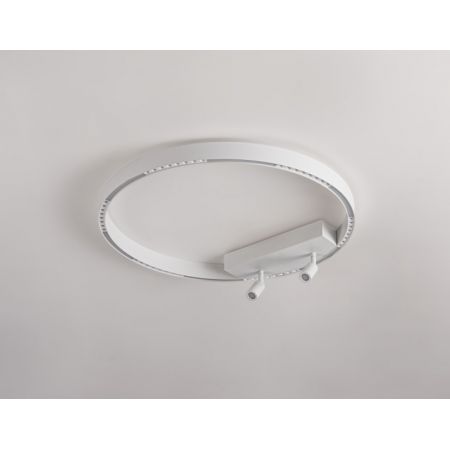 Накладной светильник Ambrella Light FL5807