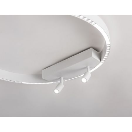 Накладной светильник Ambrella Light FL5807