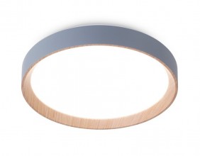 Накладной светильник Ambrella Light FZ1320