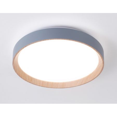 Накладной светильник Ambrella Light FZ1320