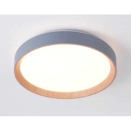 Накладной светильник Ambrella Light FZ1320