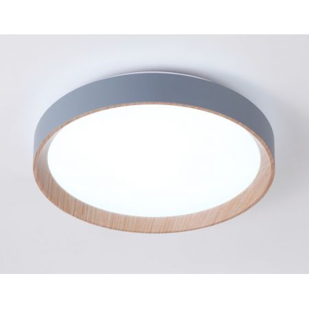 Накладной светильник Ambrella Light FZ1320
