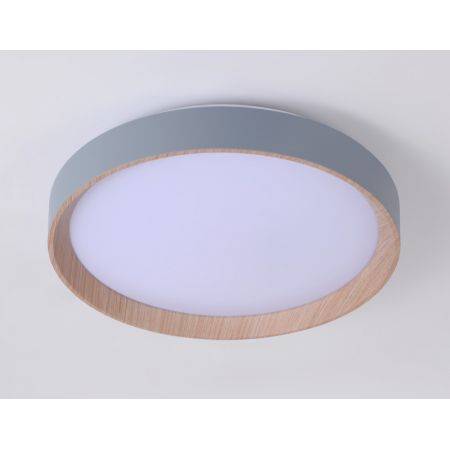 Накладной светильник Ambrella Light FZ1320