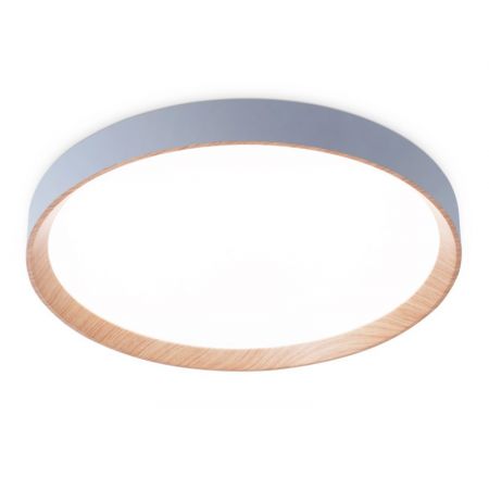 Накладной светильник Ambrella Light FZ1322