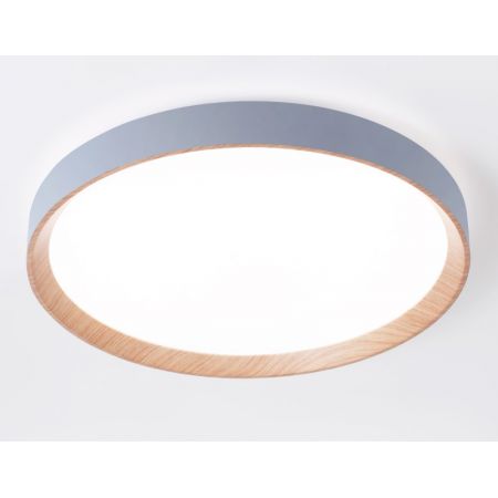 Накладной светильник Ambrella Light FZ1322