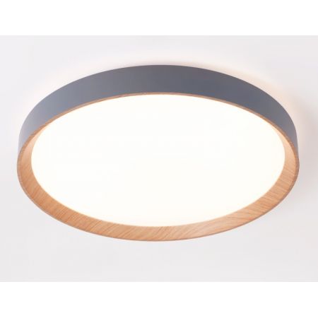 Накладной светильник Ambrella Light FZ1322