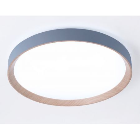 Накладной светильник Ambrella Light FZ1322