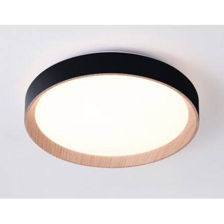 Накладной светильник Ambrella Light FZ1324
