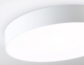 Накладной светильник Ambrella Light FZ1355