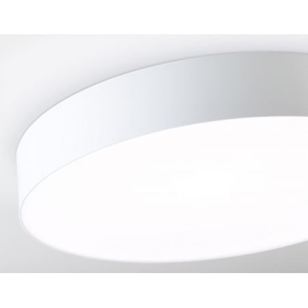 Накладной светильник Ambrella Light FZ1355