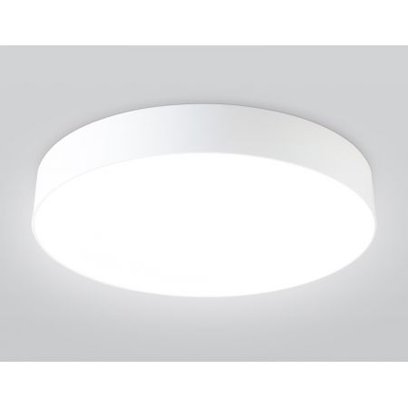 Накладной светильник Ambrella Light FZ1355