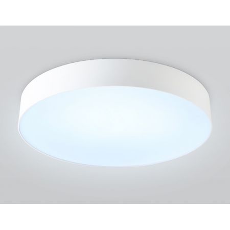 Накладной светильник Ambrella Light FZ1355