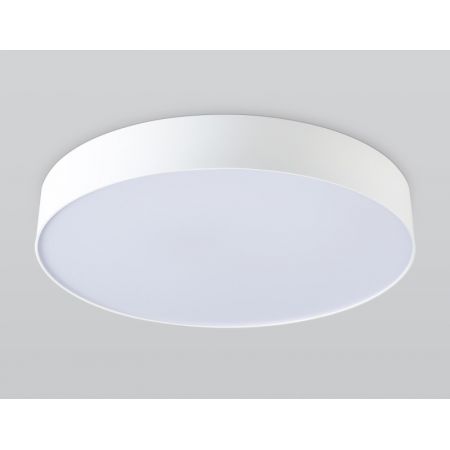 Накладной светильник Ambrella Light FZ1355