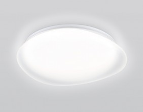 Накладной светильник Ambrella Light FZ1610