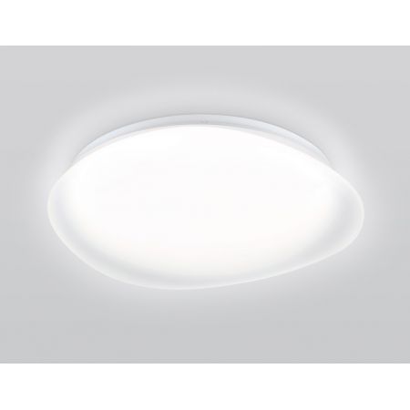 Накладной светильник Ambrella Light FZ1610