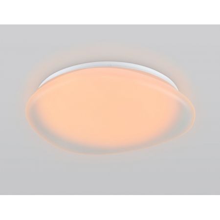 Накладной светильник Ambrella Light FZ1610