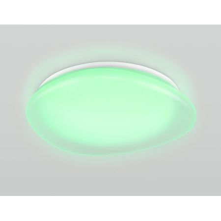 Накладной светильник Ambrella Light FZ1610