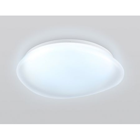 Накладной светильник Ambrella Light FZ1610