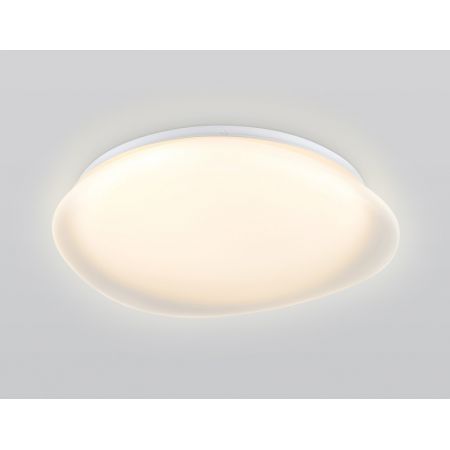 Накладной светильник Ambrella Light FZ1610