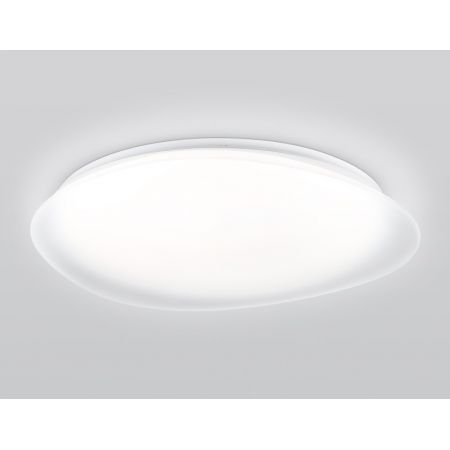 Накладной светильник Ambrella Light FZ1615