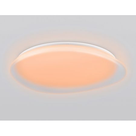 Накладной светильник Ambrella Light FZ1615