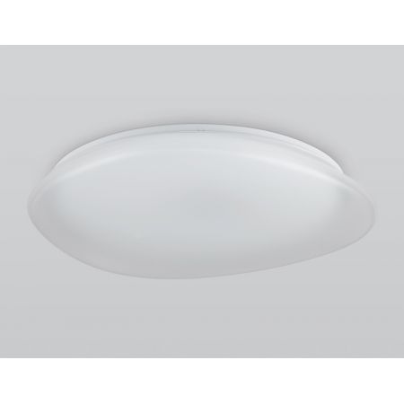 Накладной светильник Ambrella Light FZ1615