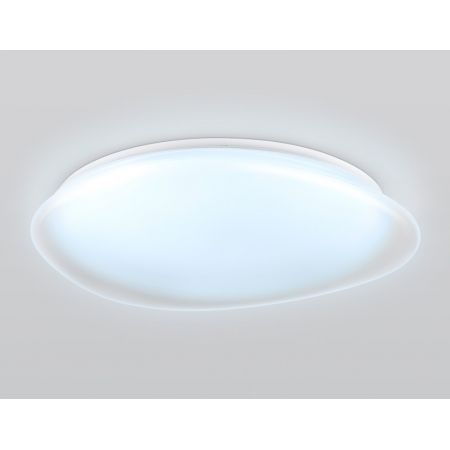 Накладной светильник Ambrella Light FZ1615