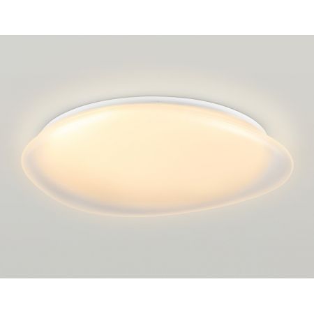 Накладной светильник Ambrella Light FZ1615