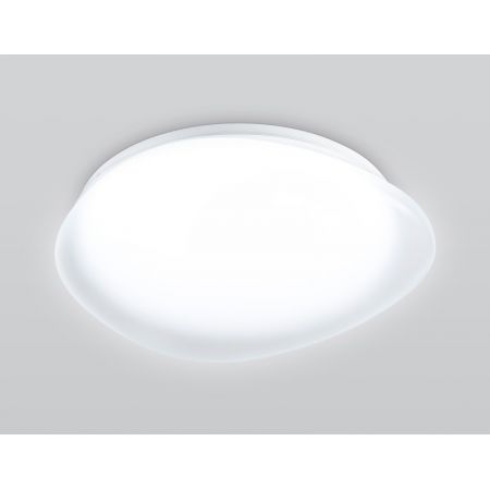Накладной светильник Ambrella Light FZ1601